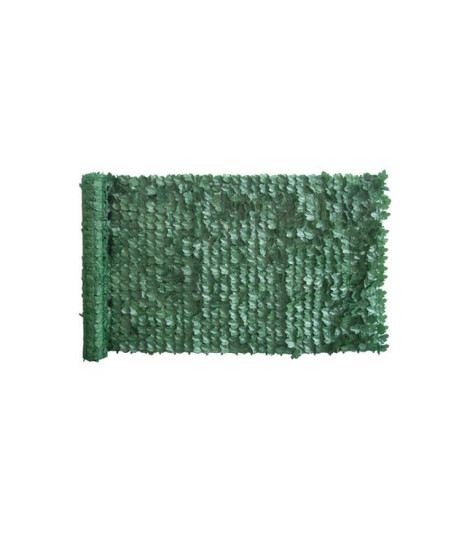 SIEPE SEMPREVERDE EDERA...