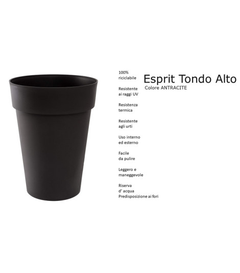 ESPRIT TONDO ALTO DIAM.44...