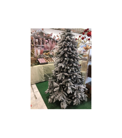 ALBERO TARVISIO INNEVATO...