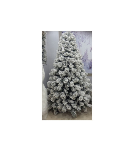 ALBERO MONTE BIANCO...