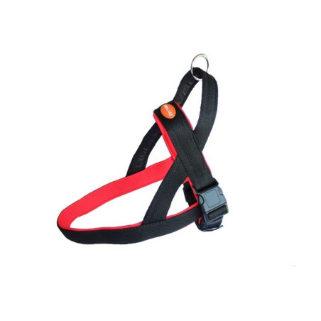 PETTORINA L   HALLEY BLACK/RED