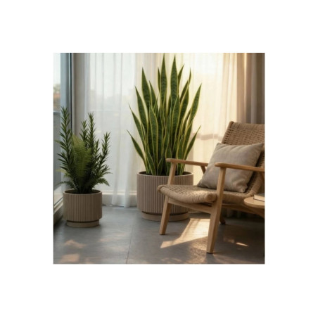 VERTIGO  40 cm TORTORA