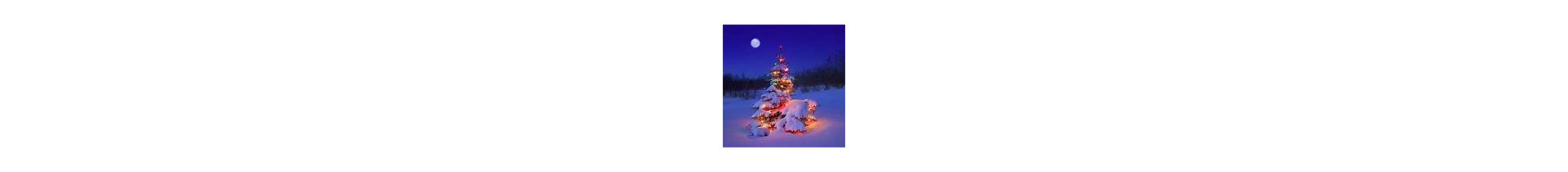 DECORI ALBERO